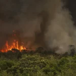 incendio-parque-nacionall_mcamgo_abr_16092024-7