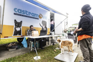 Castramóvel começa procedimentos nesta quarta-feira em Pelotas