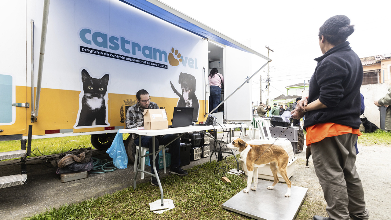 Castramóvel começa procedimentos nesta quarta-feira em Pelotas