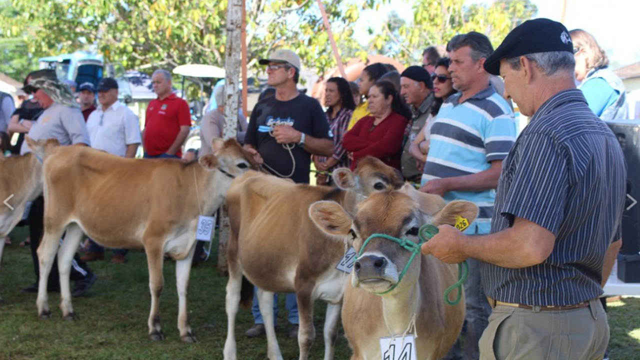 Cerrito realiza 18ª Festa Municipal do Leite Jersey em novembro