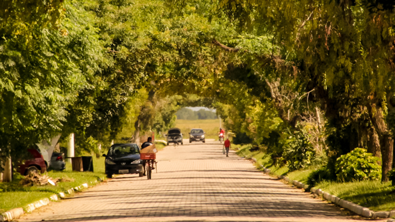 Pelotas recebe 15º Fórum Gaúcho de Arborização em novembro